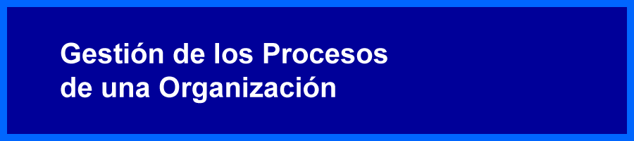 Gestión de los Procesos de una Organización