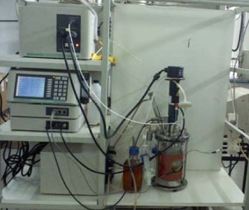 lab biorreactor